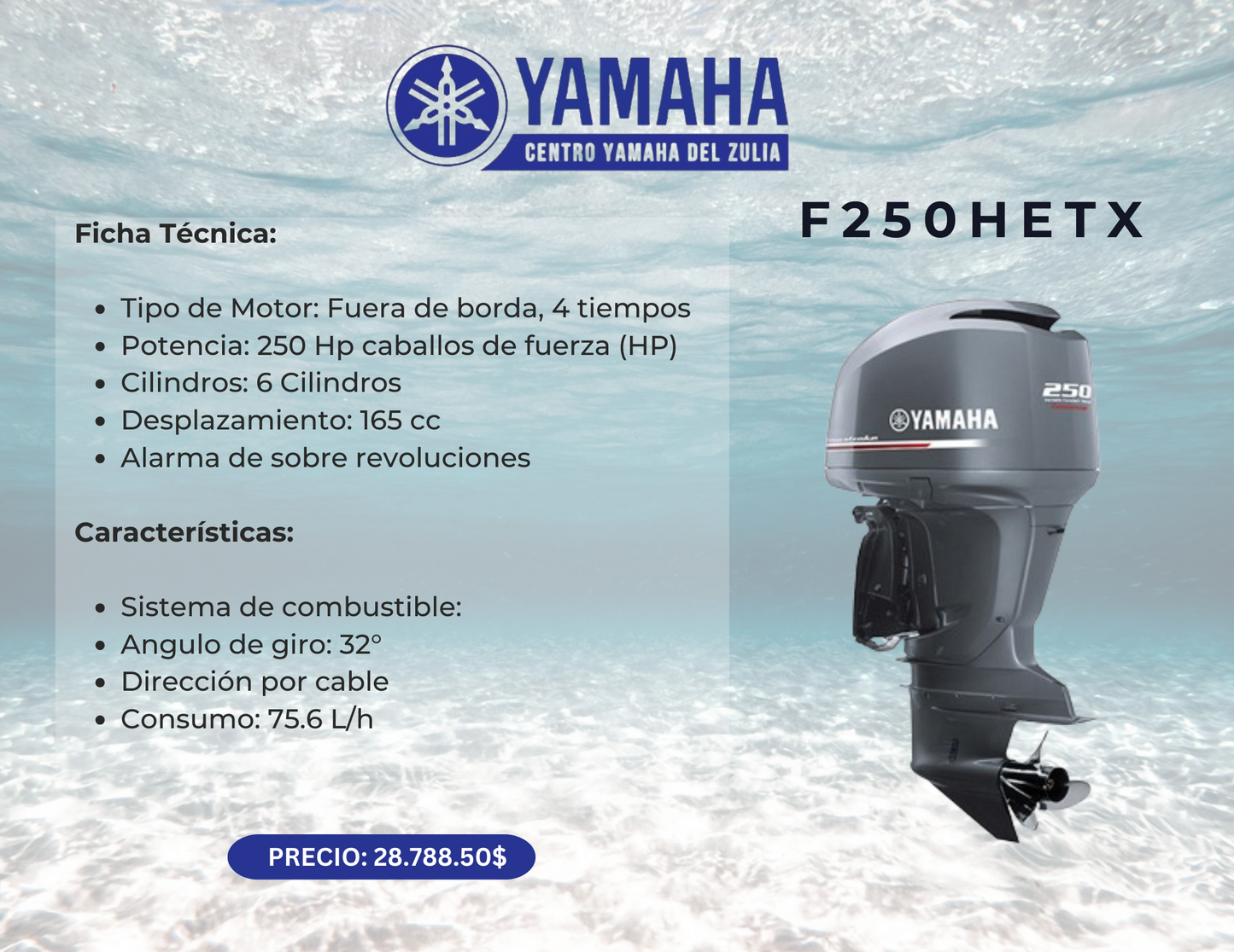 250HP MOTOR FUERA DE BORDA YAMAHA F250HETX