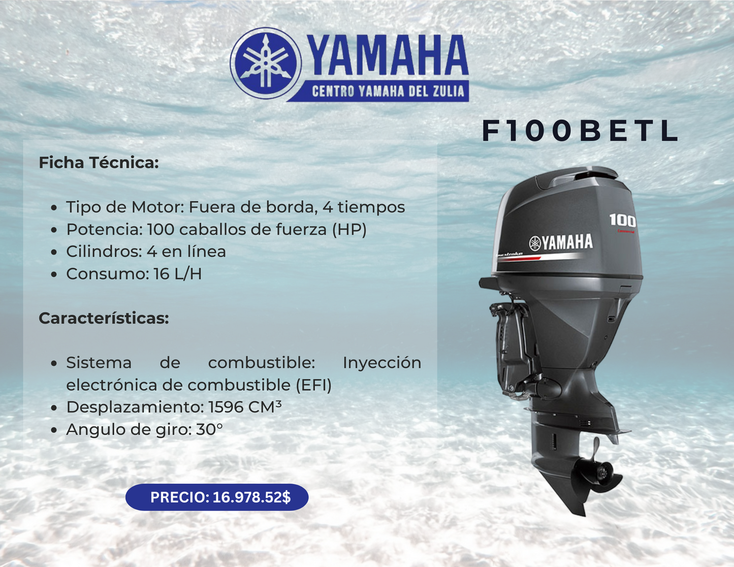 100HP MOTOR FUERA DE BORDA YAMAHA F100BETL