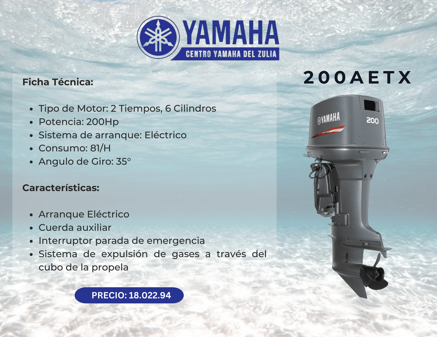 200 HP MOTOR FUERA DE BORDA YAMAHA  200AETX